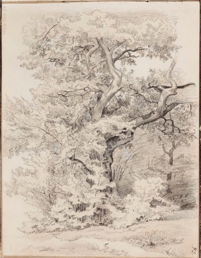 Ohne Titel von Werner Holmberg