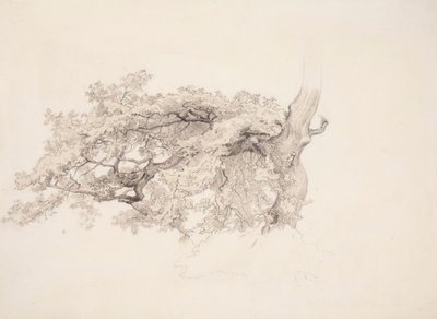 Ohne Titel von Werner Holmberg