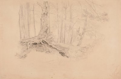 Ohne Titel von Werner Holmberg