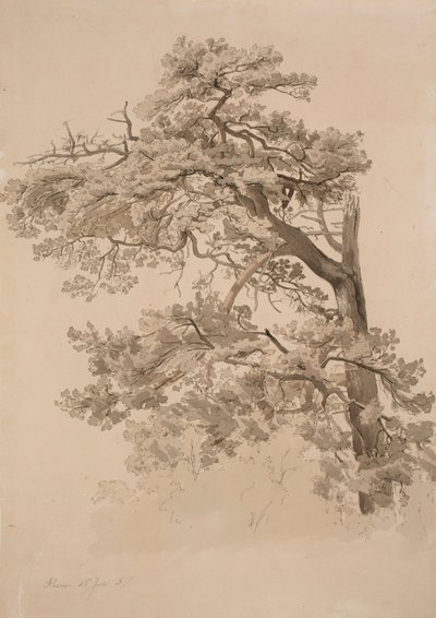 Ohne Titel von Werner Holmberg
