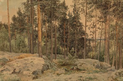 Ohne Titel von Werner Holmberg