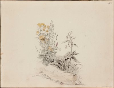 Ohne Titel von Werner Holmberg