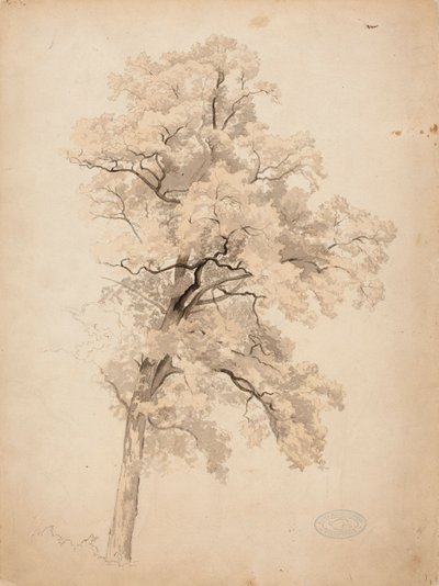 Ohne Titel von Werner Holmberg