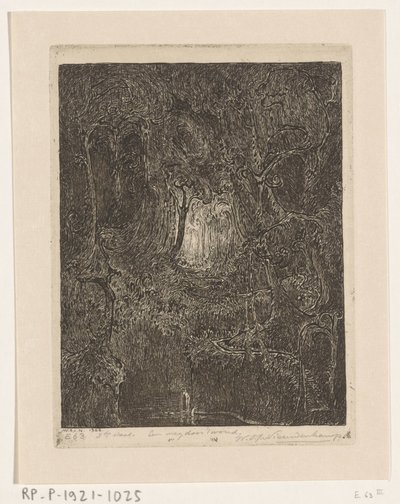 Dschungel auf Java von Wijnand Otto Jan Nieuwenkamp (signed by artist)