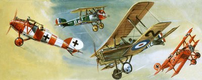 Flugzeug von Wilf (20th century) Hardy