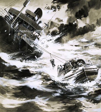 Rettung auf See von Wilf (20th century) Hardy