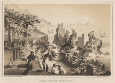 Funchal, Madeira, vom Curral, 1885 von Wilhelm Joseph Heine