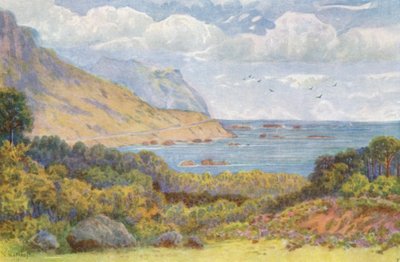 Auf der Victoria Road, in der Nähe von Oude Kraal von Wilhelm Westhofen