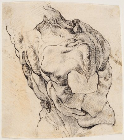 Anatomische Studie (Écorché). Torso eines gehäuteten Mannes von hinten halb nach rechts gedreht von Willem Panneels