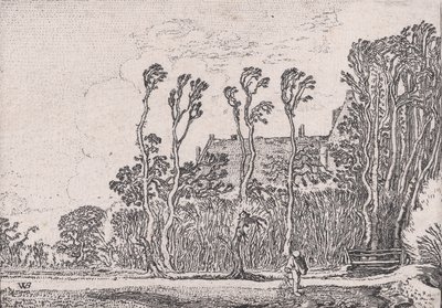Der Sämann, aus Verscheyden Landtschapjes Verschiedene kleine Landschaften, Platte 5 von Willem Pietersz. Buytewech