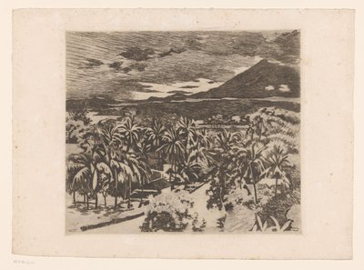Ansicht einer Landschaft mit Kokospalmen in Buitenzorg von Willem Arnoldus Witsen