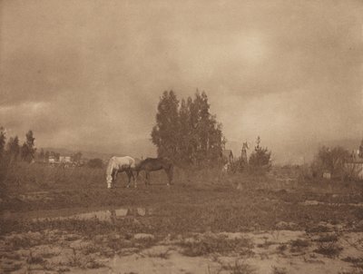 Pasadena Landschaft, 1899 von William B Post