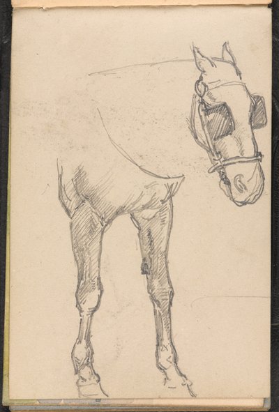 Skizze eines Pferdes mit Scheuklappen, ca. 1879 von William Barnes Wollen