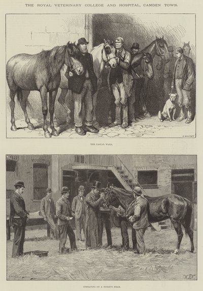 Das Royal Veterinary College und Hospital, Camden Town von William Barnes Wollen