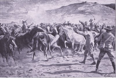 Die Gefangennahme der Pferde im Brandwater-Distrikt bei Fouriesburg: Einfangen der Herde, Illustration aus After Pretoria: The Guerilla War, 1902 von William Barnes Wollen