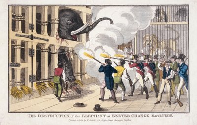 Die Zerstörung des Elefanten, zerstört in Exeter 