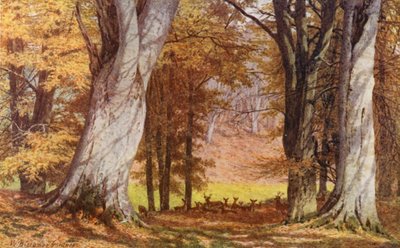 Die Wilberforce-Eiche, Holwood Park, Keston von William Biscombe Gardner
