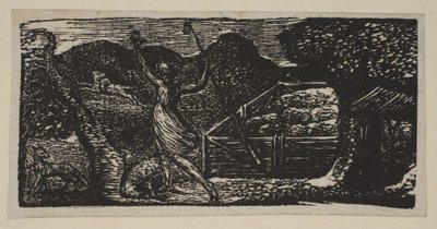 Hirte vertreibt einen Wolf, aus Thorntons Pastoralen von Virgil, 1821 von William Blake