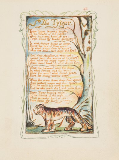 Lieder der Unschuld und Erfahrung: Der Tiger, ca. 1825 von William Blake
