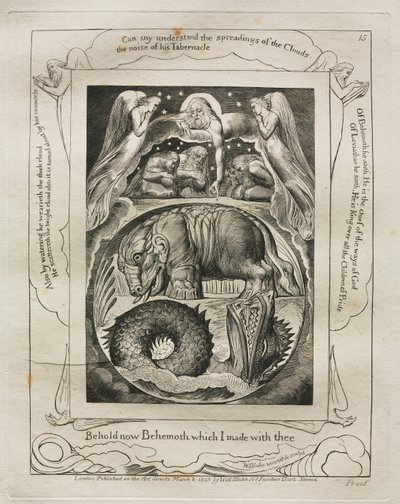 Das Buch Hiob: Pl. 15, Siehe jetzt Behemoth, den ich mit dir gemacht habe, 1825 von William Blake