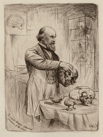 William Turner, Professor der Anatomie von William Brassey (after) Hole