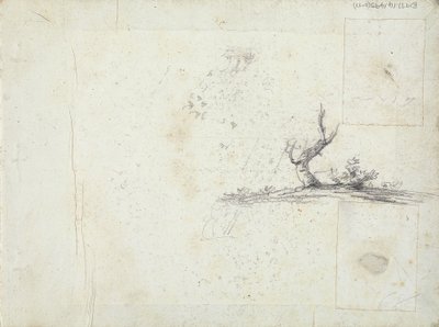 Innenseite des vorderen Umschlags: Skizze eines Baumes (umgekehrt) von William Brockedon