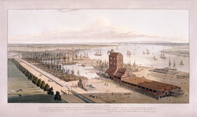 Brunswick Dock und East India Dock, Poplar, London, 1803 von William Daniell