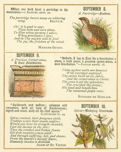 Seite aus dem Bibel-Emblem-Jubiläumsbuch von William Foster