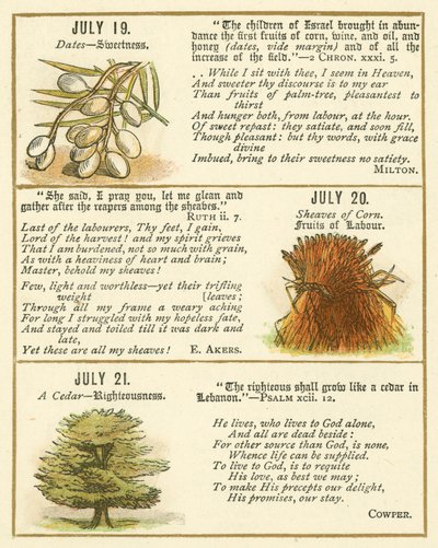 Seite aus dem Bibel-Emblem-Jubiläumsbuch von William Foster