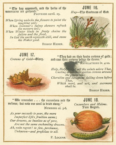Seite aus dem Bibel-Emblem-Jubiläumsbuch von William Foster
