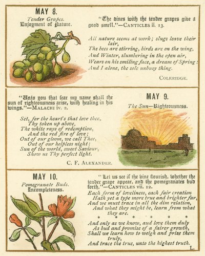 Seite aus dem Bibel-Emblem-Jubiläumsbuch von William Foster