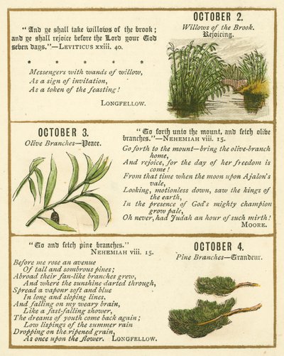 Seite aus dem Bibel-Emblem-Jubiläumsbuch von William Foster