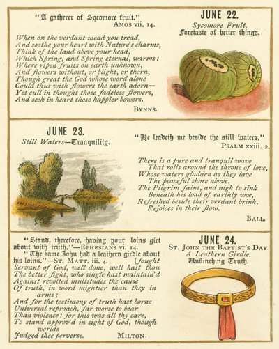 Seite aus dem Bibel-Emblem-Jubiläumsbuch von William Foster