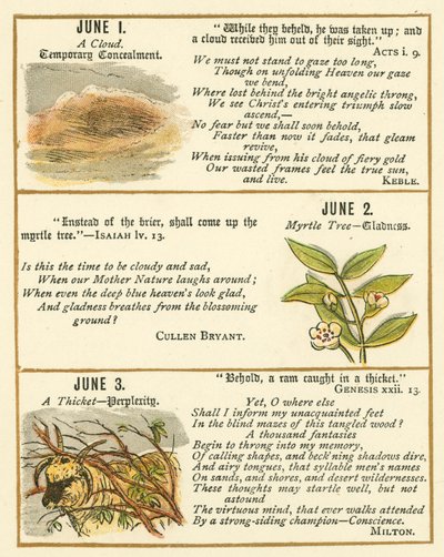Seite aus dem Bibel-Emblem-Jubiläumsbuch von William Foster