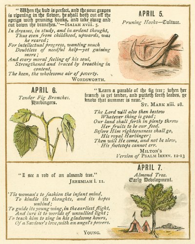 Seite aus dem Bibel-Emblem-Jubiläumsbuch von William Foster