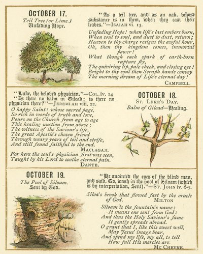 Seite aus dem Bibel-Emblem-Jubiläumsbuch (Farblithografie) von William Foster