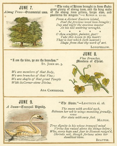 Seite aus dem Bibel-Emblem-Jubiläumsbuch von William Foster