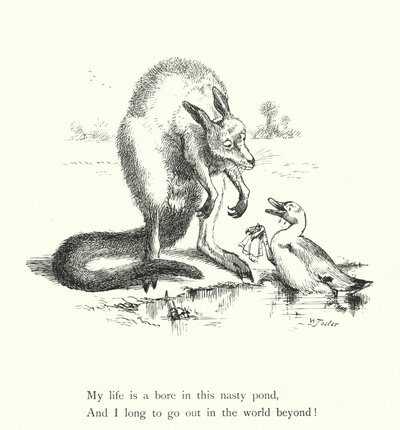 Die Ente und das Känguru (Gravur) von William Foster