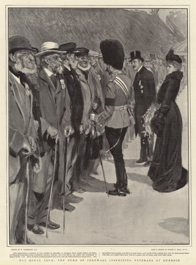 Die königliche Tour, der Herzog von Cornwall inspiziert Veteranen in Dunedin von William Hatherell