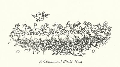 Ein Gemeinschaftsnest von Vögeln von William Heath Robinson