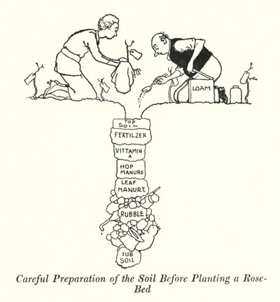 Sorgfältige Bodenvorbereitung vor dem Pflanzen eines Rosenbeets von William Heath Robinson