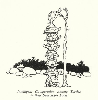 Intelligente Zusammenarbeit unter Schildkröten bei der Nahrungssuche von William Heath Robinson