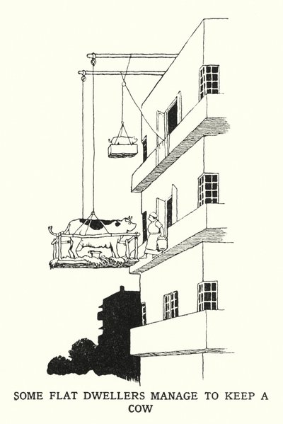 Einige Wohnungsbewohner schaffen es, eine Kuh zu halten von William Heath Robinson