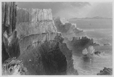 Pleaskin Cliff, nahe dem Giants Causeway, County Antrim von William Henry (after) Bartlett