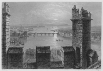 Der Shannon, vom Turm der Kathedrale von Limerick von William Henry (after) Bartlett