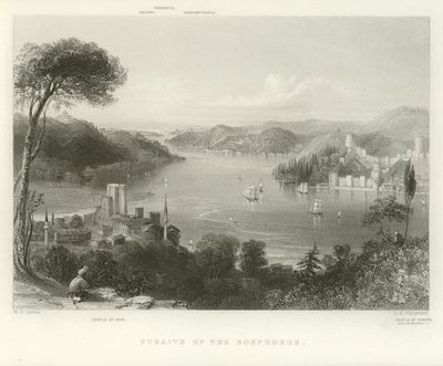 Straße des Bosporus von William Henry Bartlett