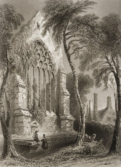 Youghal Abbey, County Cork, Irland, aus 