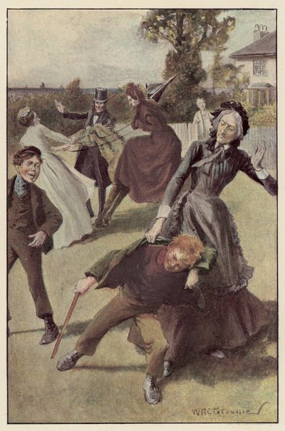 Meine Tante stürzte sich auf ihn von William Henry Charles Groome