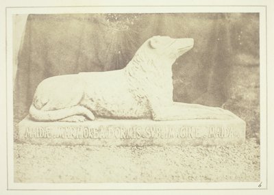 Abbild von Sir W. Scotts Lieblingshund Maida, neben der Haustür in Abbotsford von William Henry Fox Talbot