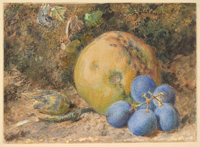 Ein Apfel, Trauben und eine Haselnuss auf einem moosigen Ufer von William Henry Hunt